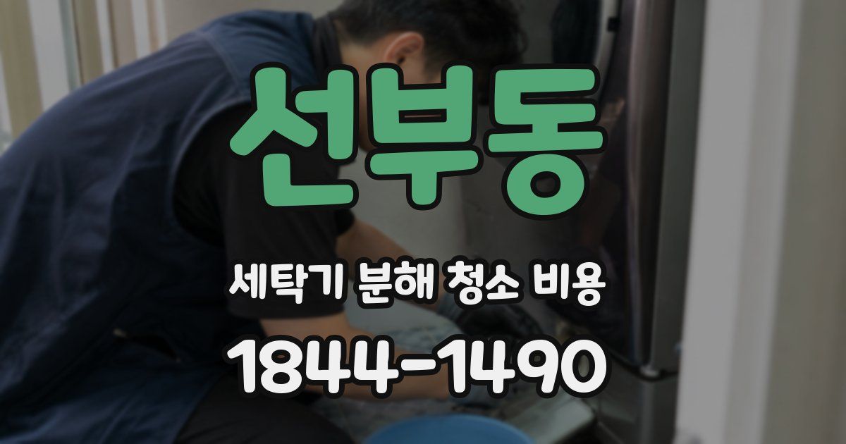 선부동 세탁기 분해 청소 비용