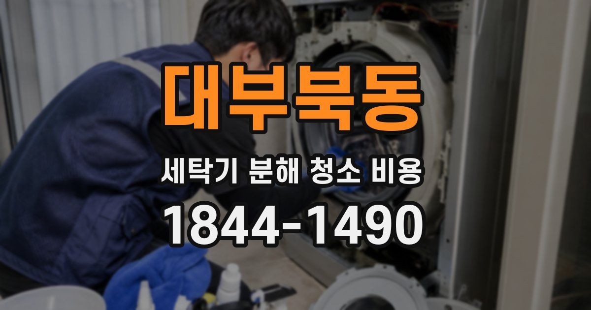 대부북동 세탁기 분해 청소 비용