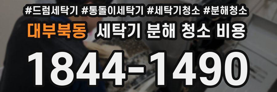 대부북동 세탁기 분해 청소 비용