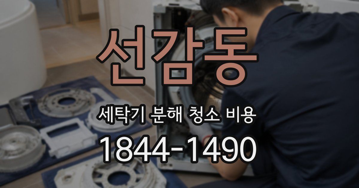 선감동 세탁기 분해 청소 비용