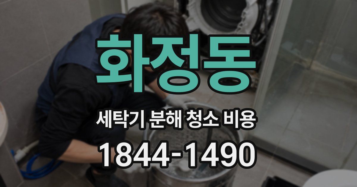 화정동 세탁기 분해 청소 비용