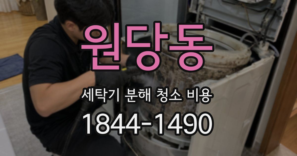 원당동 세탁기 분해 청소 비용
