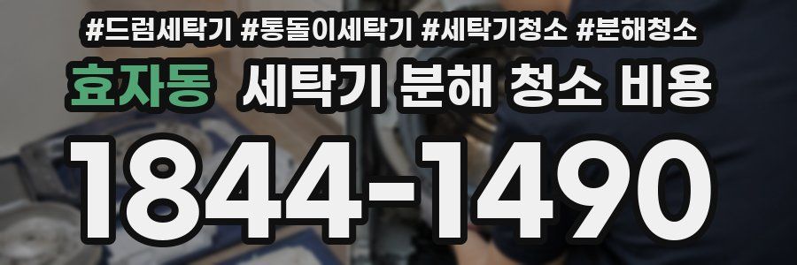 효자동 세탁기 분해 청소 비용