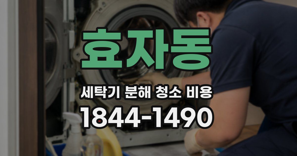효자동 세탁기 분해 청소 비용