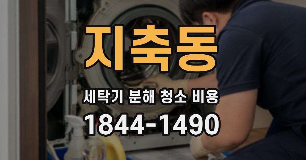 지축동 세탁기 분해 청소 비용