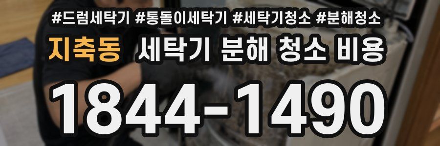 지축동 세탁기 분해 청소 비용