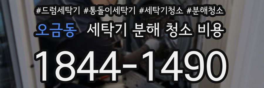 오금동 세탁기 분해 청소 비용