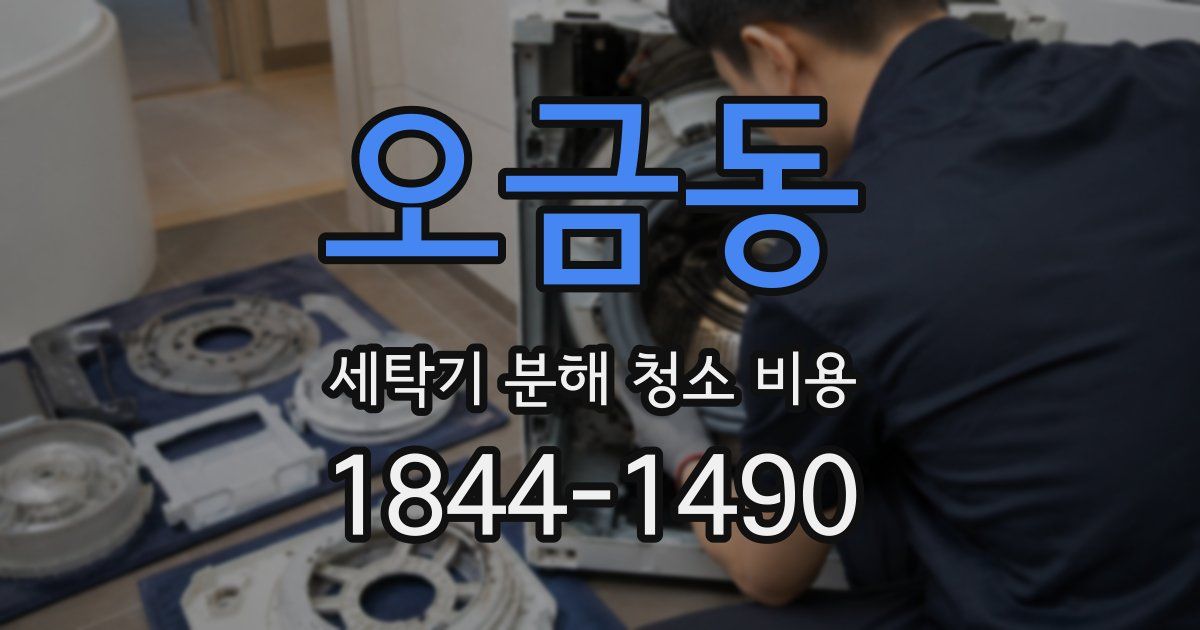 오금동 세탁기 분해 청소 비용