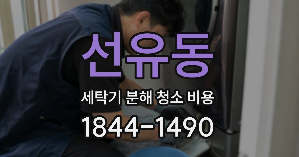 선유동 세탁기 분해 청소 비용