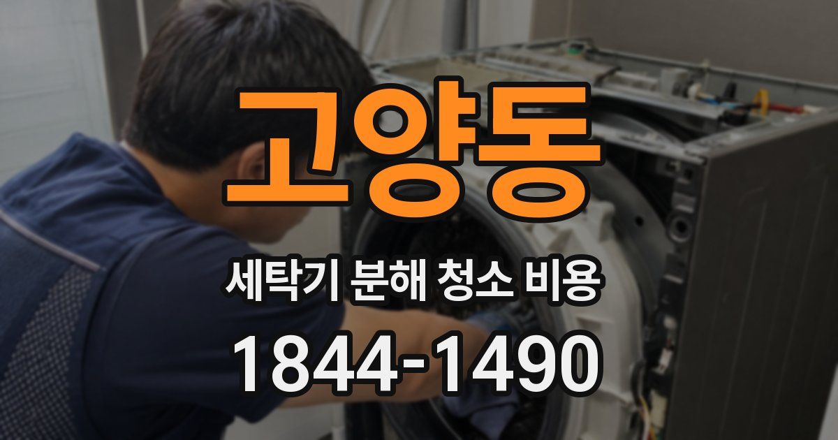 고양동 세탁기 분해 청소 비용