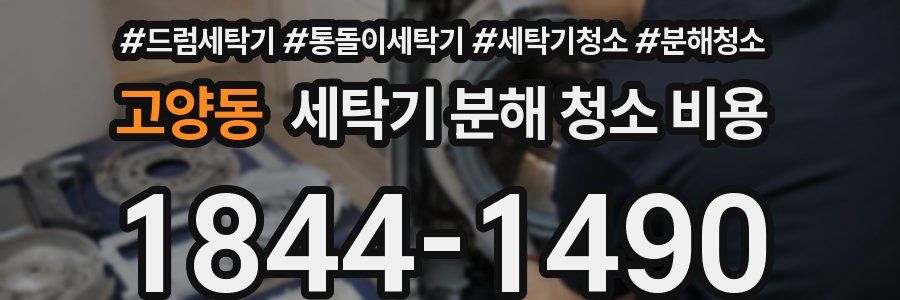고양동 세탁기 분해 청소 비용