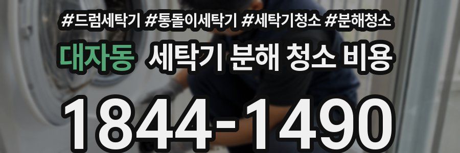 대자동 세탁기 분해 청소 비용