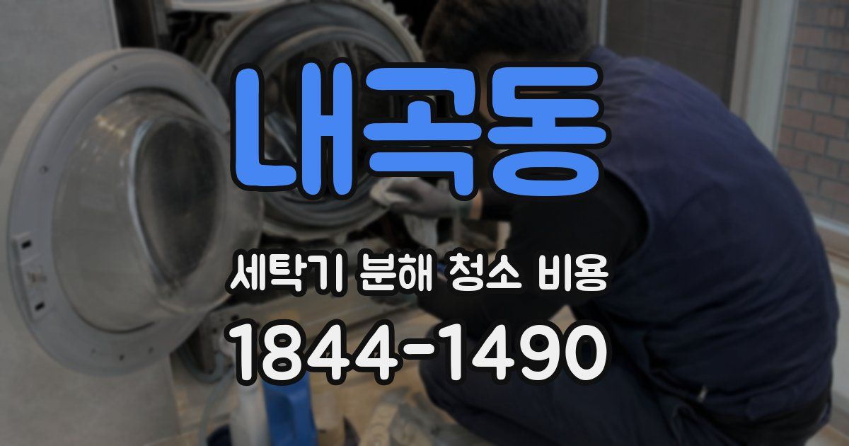 내곡동 세탁기 분해 청소 비용