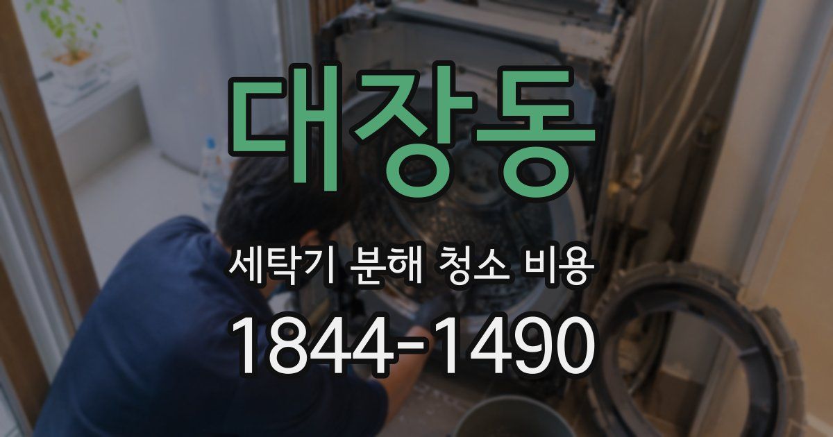 대장동 세탁기 분해 청소 비용