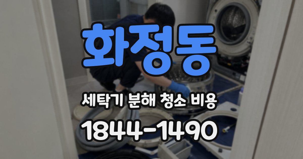 화정동 세탁기 분해 청소 비용