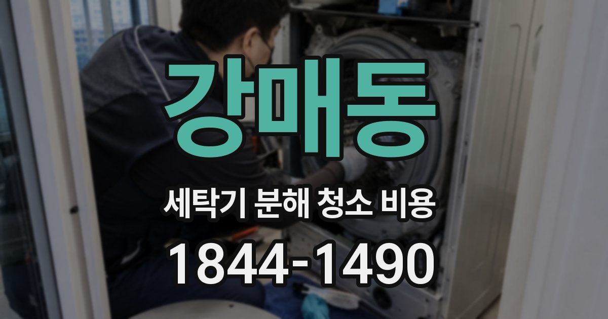 강매동 세탁기 분해 청소 비용