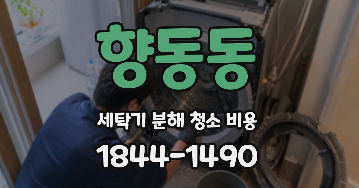 향동동 세탁기 분해 청소 비용