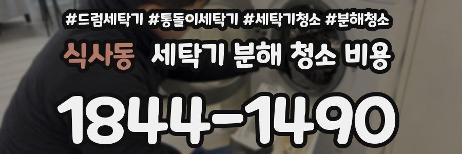 식사동 세탁기 분해 청소 비용