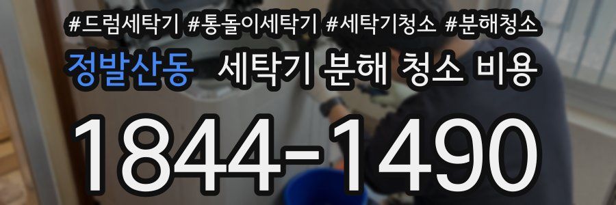 정발산동 세탁기 분해 청소 비용