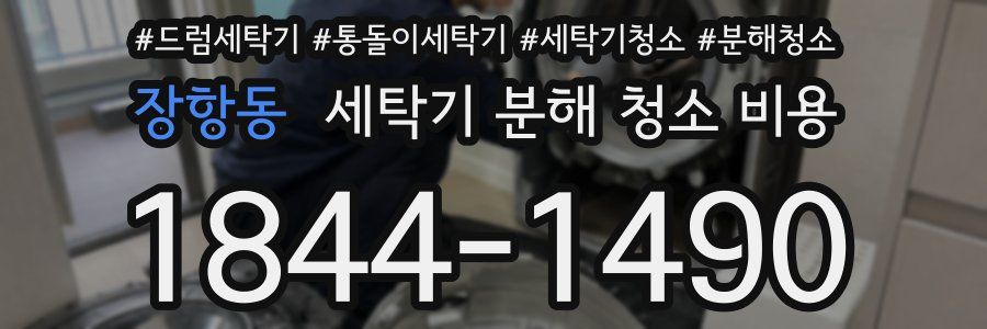 장항동 세탁기 분해 청소 비용