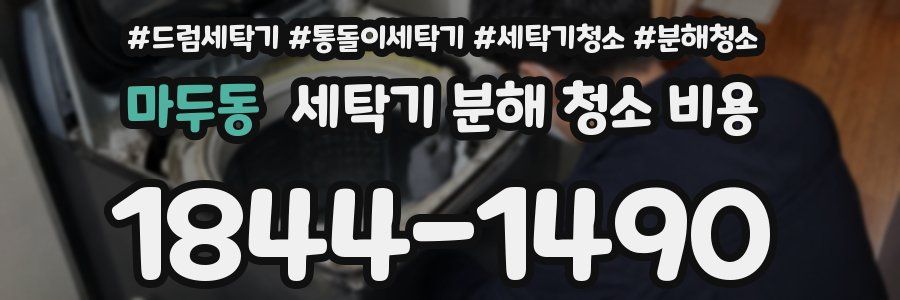 마두동 세탁기 분해 청소 비용