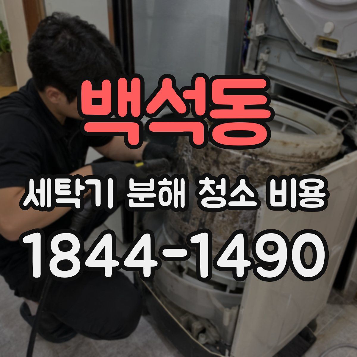 백석동 세탁기 분해 청소 비용