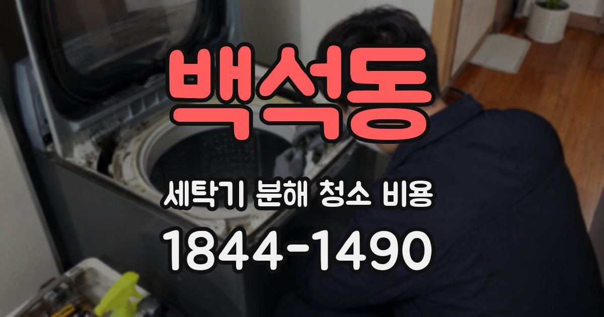 백석동 세탁기 분해 청소 비용