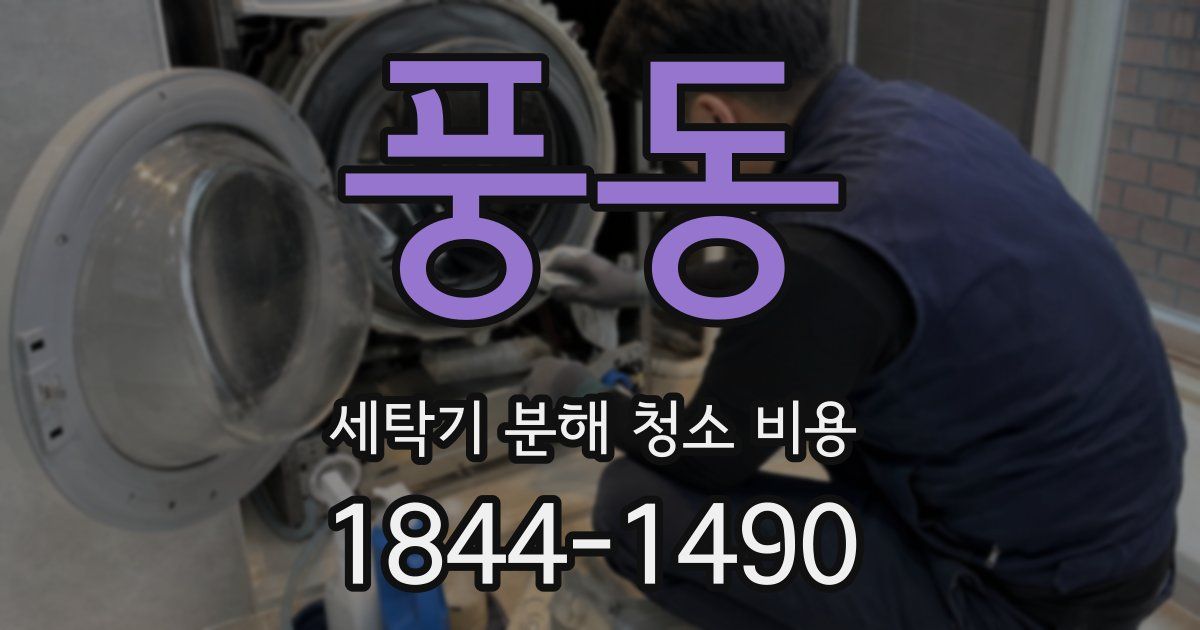풍동 세탁기 분해 청소 비용