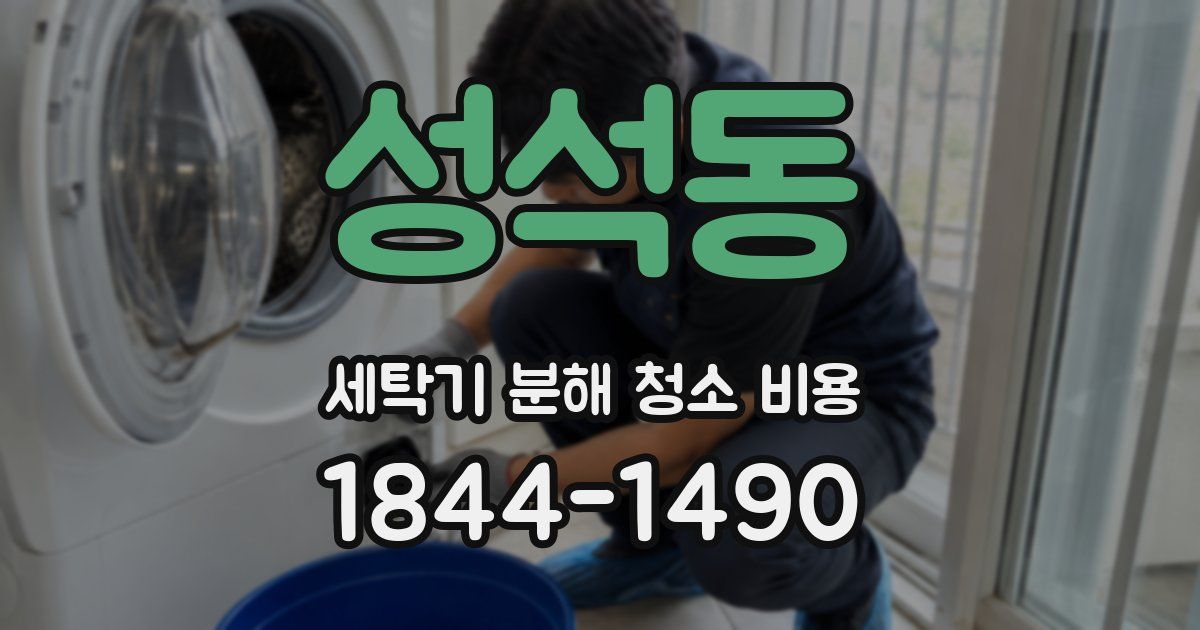 성석동 세탁기 분해 청소 비용