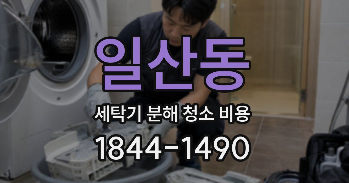 일산동 세탁기 분해 청소 비용