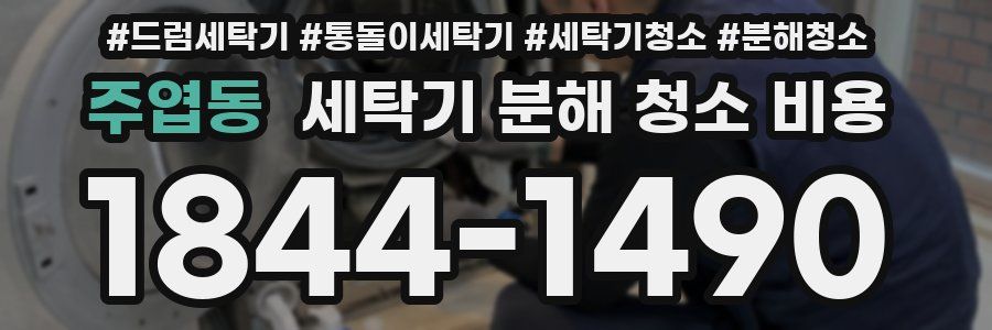주엽동 세탁기 분해 청소 비용