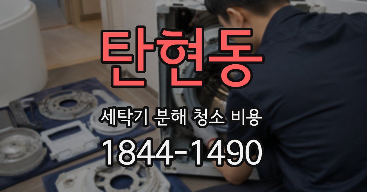 탄현동 세탁기 분해 청소 비용