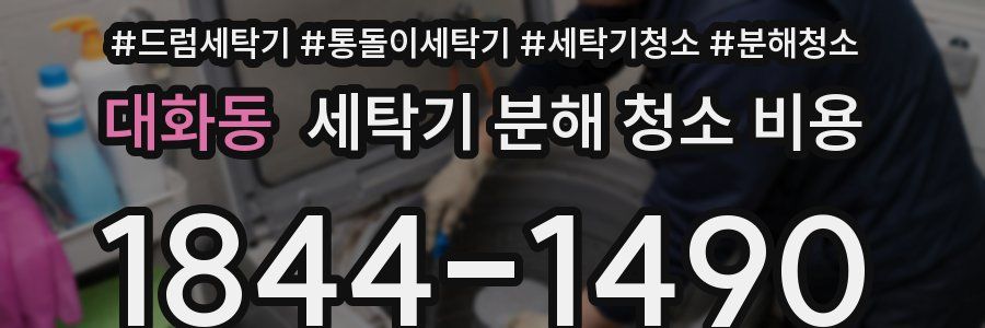 대화동 세탁기 분해 청소 비용