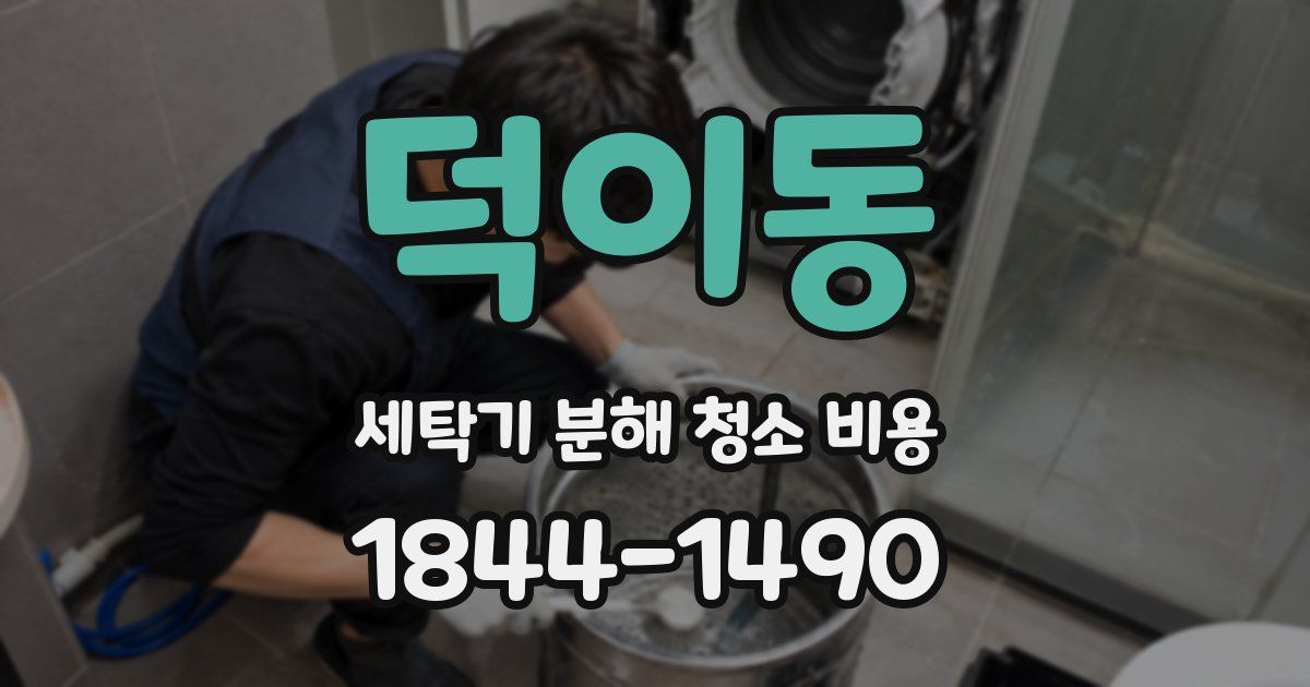 덕이동 세탁기 분해 청소 비용