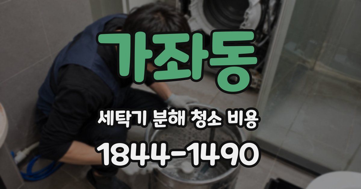 가좌동 세탁기 분해 청소 비용