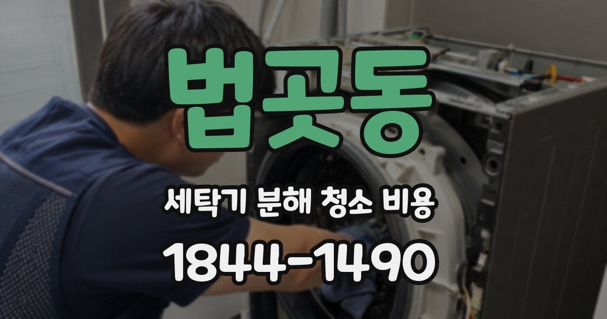 법곳동 세탁기 분해 청소 비용
