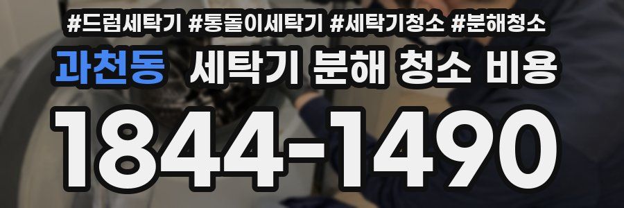 과천동 세탁기 분해 청소 비용