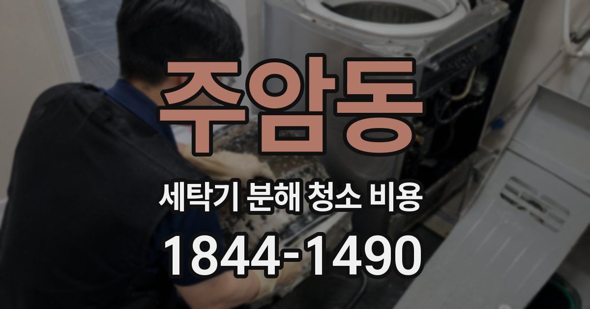주암동 세탁기 분해 청소 비용