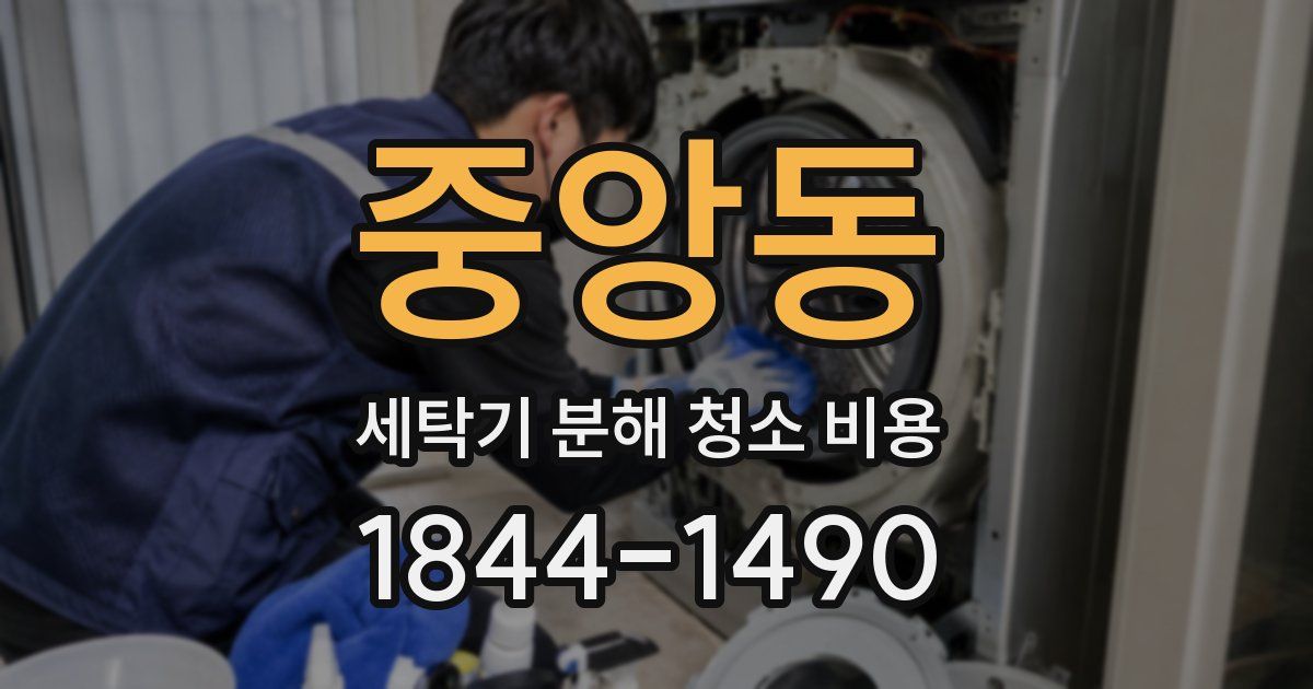 중앙동 세탁기 분해 청소 비용