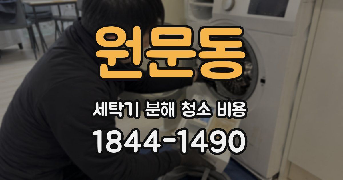 원문동 세탁기 분해 청소 비용
