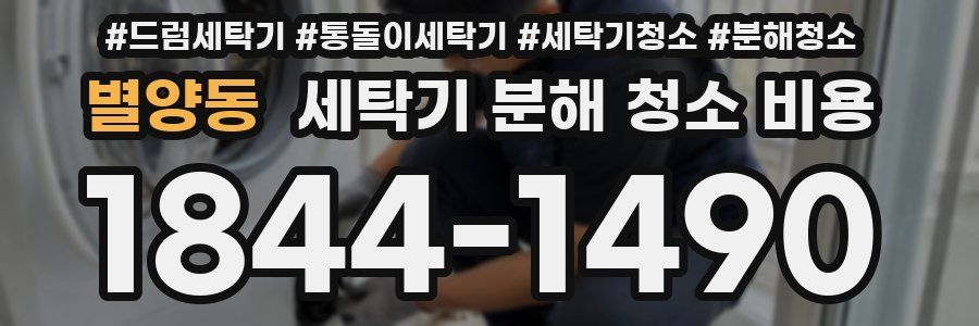 별양동 세탁기 분해 청소 비용