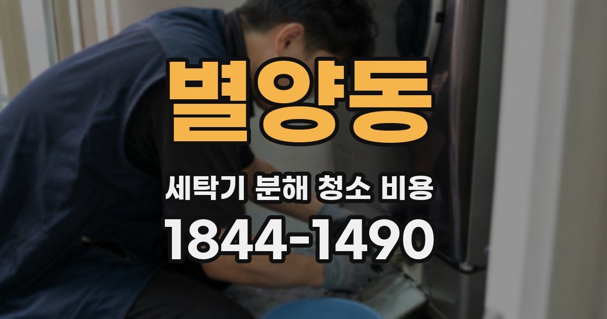 별양동 세탁기 분해 청소 비용