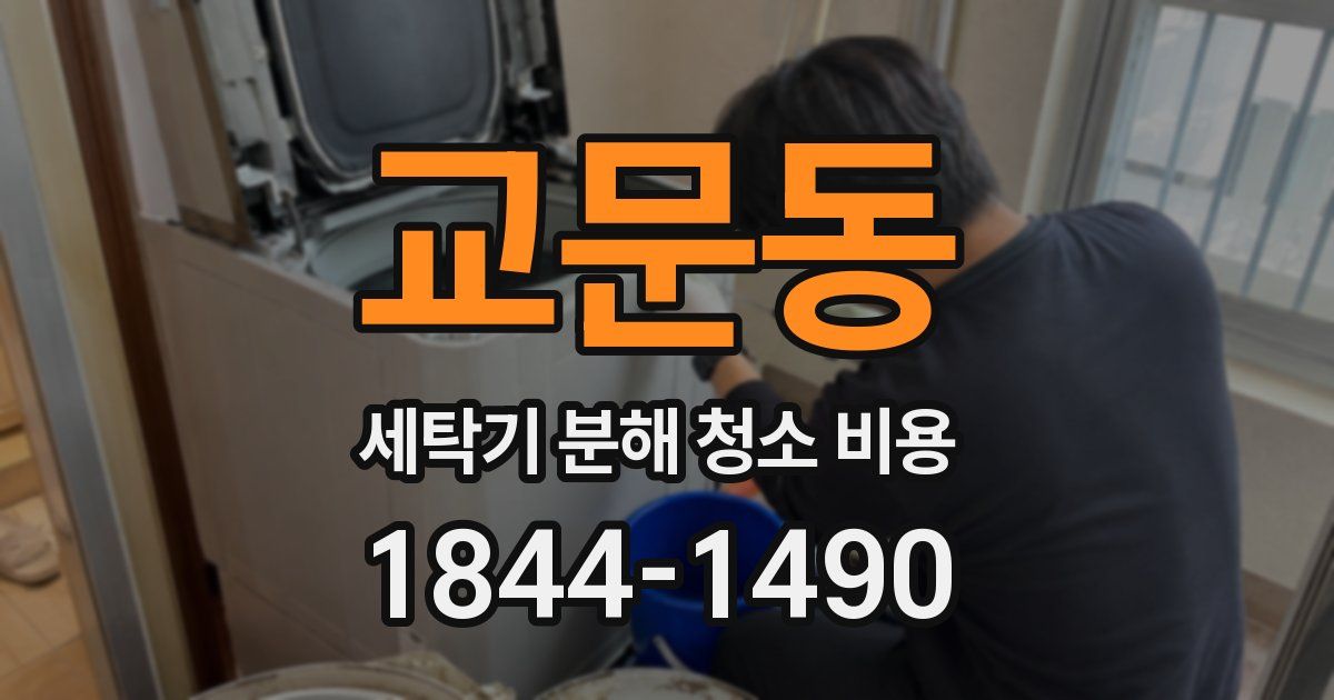 교문동 세탁기 분해 청소 비용