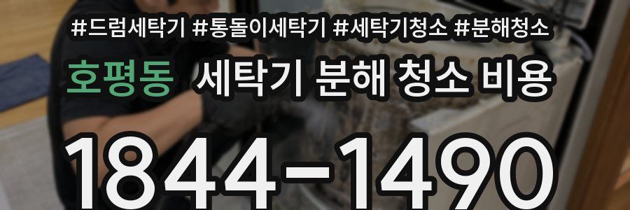 호평동 세탁기 분해 청소 비용