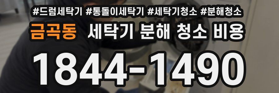 금곡동 세탁기 분해 청소 비용