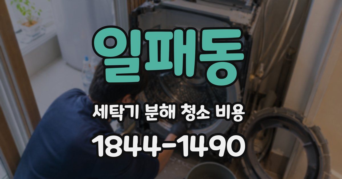 일패동 세탁기 분해 청소 비용