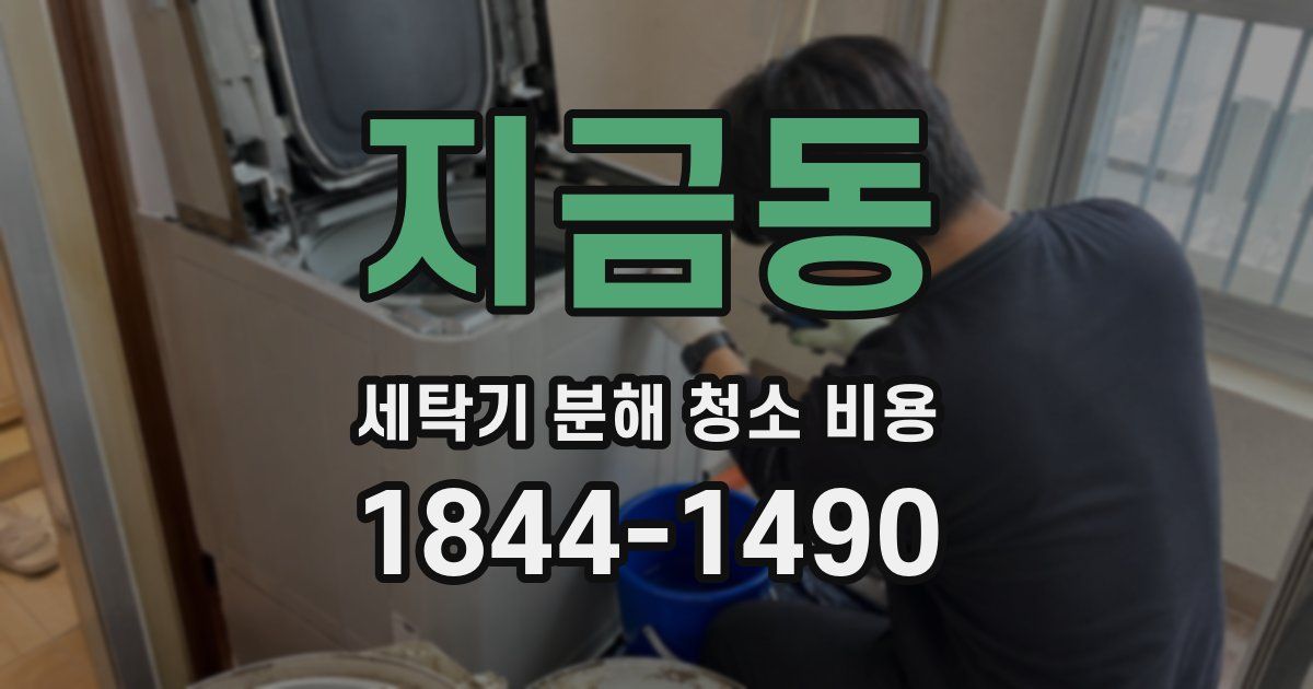 지금동 세탁기 분해 청소 비용