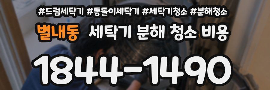 별내동 세탁기 분해 청소 비용