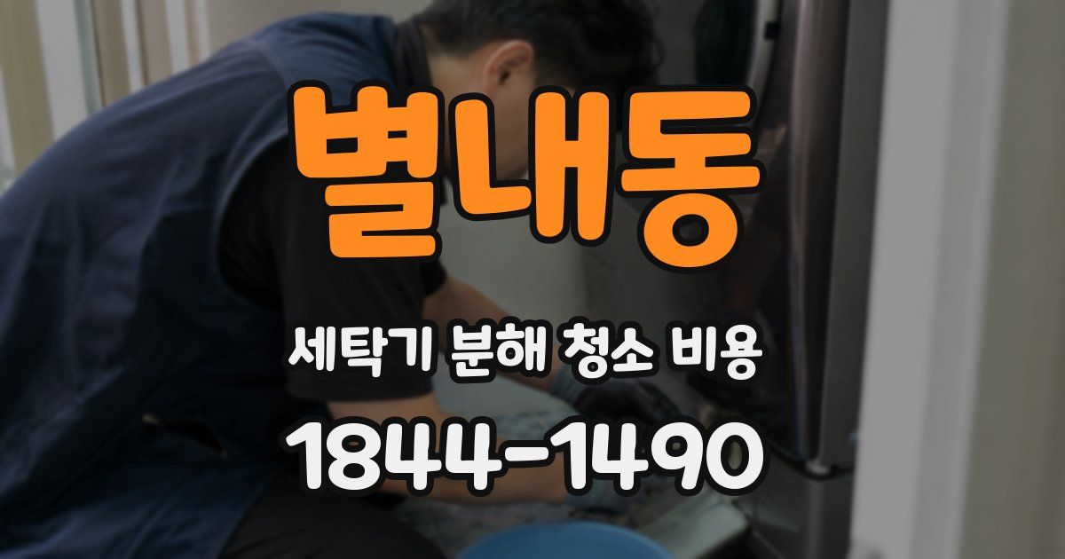 별내동 세탁기 분해 청소 비용