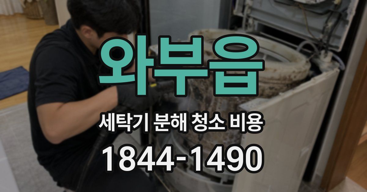 와부읍 세탁기 분해 청소 비용